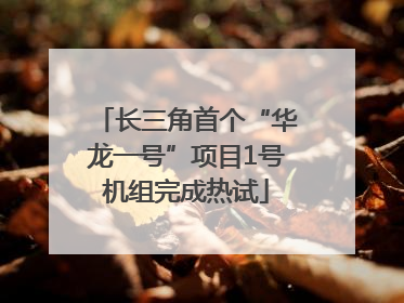 长三角首个“华龙一号”项目1号机组完成热试