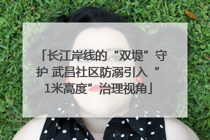 长江岸线的“双堤”守护 武昌社区防溺引入“1米高度”治理视角