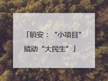 镇安：“小项目”撬动“大民生”