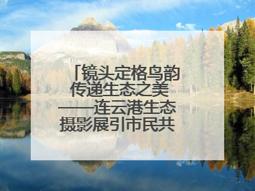 镜头定格鸟韵 传递生态之美——连云港生态摄影展引市民共赏自然之魅