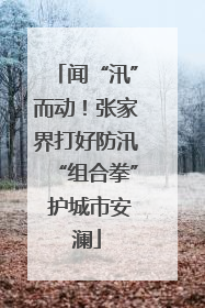 闻“汛”而动！张家界打好防汛“组合拳” 护城市安澜