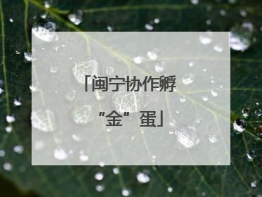 闽宁协作孵“金”蛋