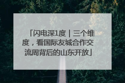 闪电深1度｜三个维度，看国际友城合作交流周背后的山东开放