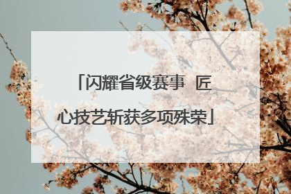闪耀省级赛事  匠心技艺斩获多项殊荣
