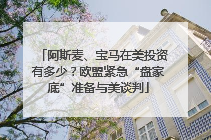 阿斯麦、宝马在美投资有多少？欧盟紧急“盘家底”准备与美谈判