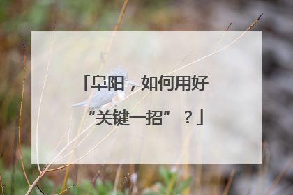 阜阳，如何用好“关键一招”？