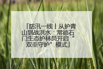 防汛一线丨从护青山到战洪水：常德石门生态护林员开启“双重守护”模式