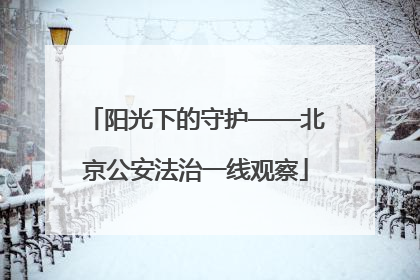 阳光下的守护——北京公安法治一线观察