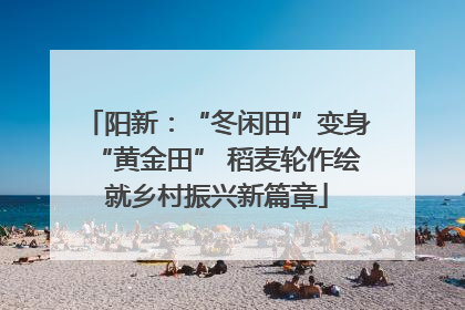 阳新：“冬闲田”变身“黄金田” 稻麦轮作绘就乡村振兴新篇章