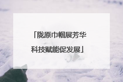 陇原巾帼展芳华 科技赋能促发展