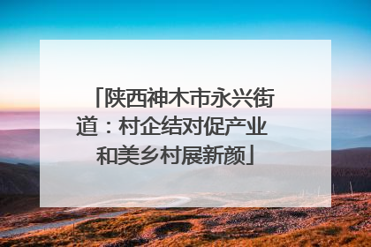 陕西神木市永兴街道：村企结对促产业 和美乡村展新颜