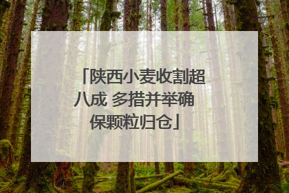陕西小麦收割超八成 多措并举确保颗粒归仓
