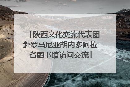 陕西文化交流代表团赴罗马尼亚胡内多阿拉省图书馆访问交流
