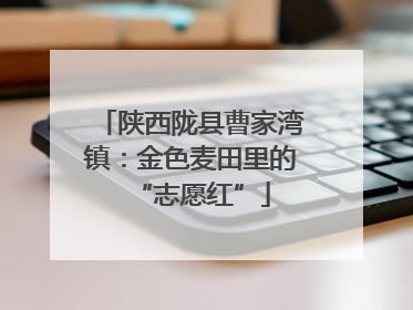 陕西陇县曹家湾镇：金色麦田里的“志愿红”