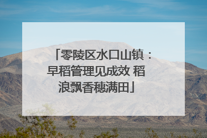零陵区水口山镇：早稻管理见成效 稻浪飘香穗满田
