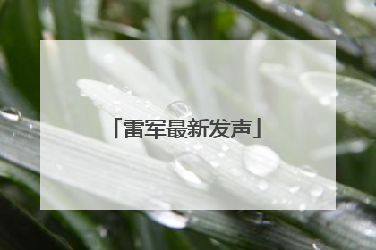 雷军最新发声