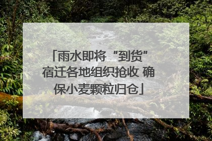 雨水即将“到货” 宿迁各地组织抢收 确保小麦颗粒归仓