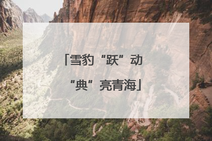 雪豹“跃”动 “典”亮青海