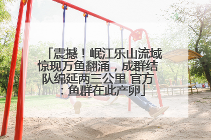 震撼！岷江乐山流域惊现万鱼翻涌，成群结队绵延两三公里 官方：鱼群在此产卵