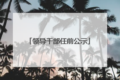领导干部任前公示