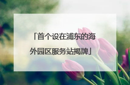首个设在浦东的海外园区服务站揭牌