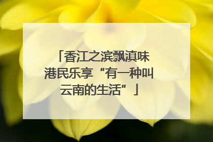 香江之滨飘滇味 港民乐享“有一种叫云南的生活”