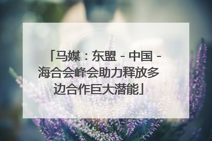 马媒：东盟－中国－海合会峰会助力释放多边合作巨大潜能