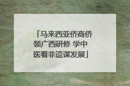 马来西亚侨商侨领广西研修 学中医看非遗谋发展