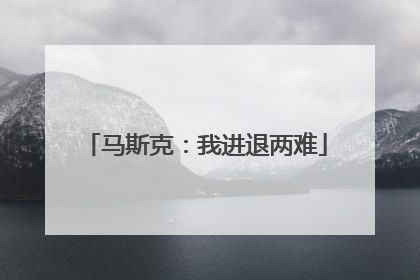 马斯克：我进退两难
