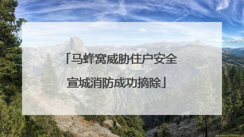 马蜂窝威胁住户安全 宣城消防成功摘除