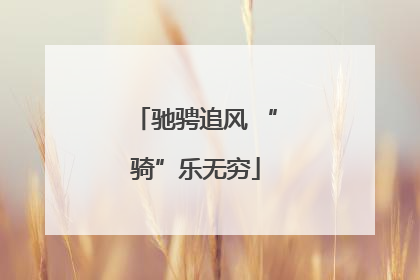 驰骋追风 “骑”乐无穷