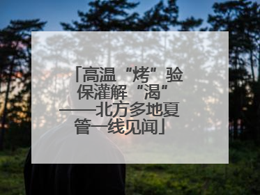 高温“烤”验 保灌解“渴”——北方多地夏管一线见闻