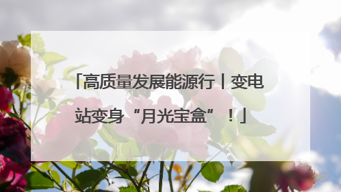 高质量发展能源行丨变电站变身“月光宝盒”！