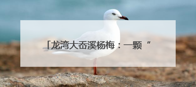 龙湾大岙溪杨梅：一颗“红盘绿蒂”的千年滋味