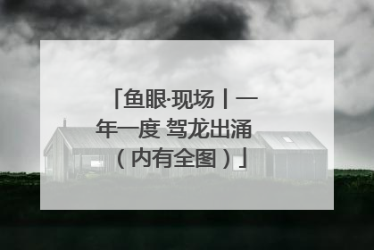 鱼眼·现场丨一年一度 驾龙出涌（内有全图）