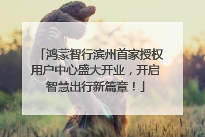 鸿蒙智行滨州首家授权用户中心盛大开业，开启智慧出行新篇章！
