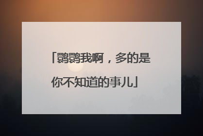 鹮鹮我啊，多的是你不知道的事儿