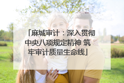 麻城审计：深入贯彻中央八项规定精神 筑牢审计质量生命线