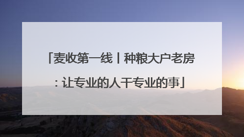 麦收第一线丨种粮大户老房：让专业的人干专业的事
