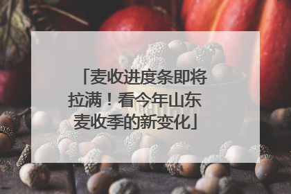 麦收进度条即将拉满！看今年山东麦收季的新变化