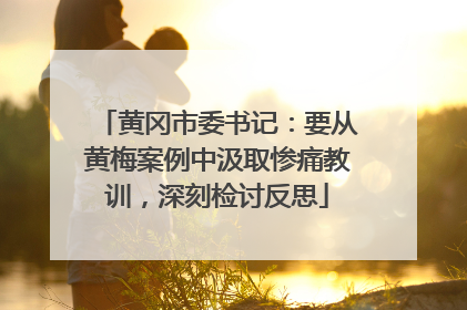 黄冈市委书记：要从黄梅案例中汲取惨痛教训，深刻检讨反思