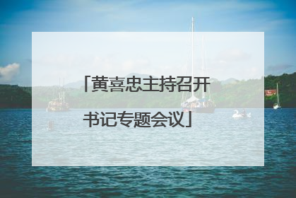 黄喜忠主持召开书记专题会议