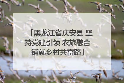 黑龙江省庆安县 坚持党建引领 农旅融合铺就乡村共富路