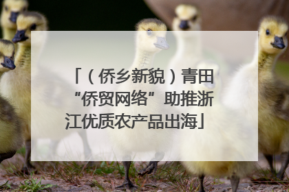 （侨乡新貌）青田“侨贸网络”助推浙江优质农产品出海