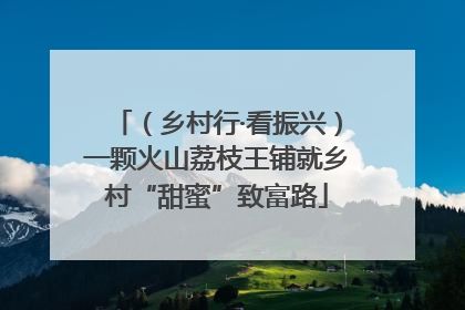 （乡村行·看振兴）一颗火山荔枝王铺就乡村“甜蜜”致富路