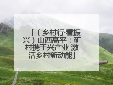 （乡村行·看振兴）山西高平：矿村携手兴产业 激活乡村新动能