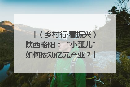 （乡村行·看振兴）陕西略阳：“小瓢儿”如何撬动亿元产业？