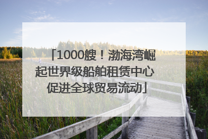 1000艘！渤海湾崛起世界级船舶租赁中心 促进全球贸易流动