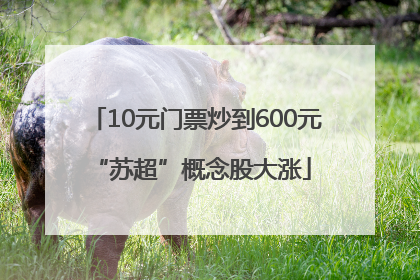 10元门票炒到600元 “苏超”概念股大涨