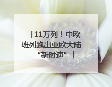 11万列！中欧班列跑出亚欧大陆“新时速”